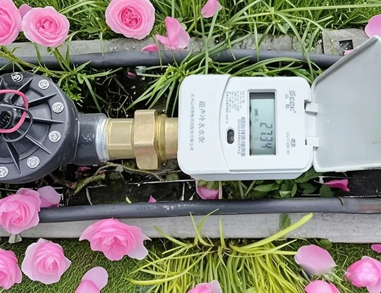 杭州“頂流”驚艷全國，山科如何守護城市“空中花廊”